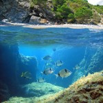 Tribloo - Réservez le meilleur de la plongée - spot de plongée
