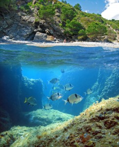Tribloo - Réservez le meilleur de la plongée - spot de plongée