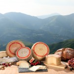La gamme de fromages de l'AOP Ossau-Iraty