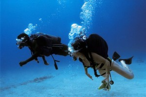 Les meilleurs clubs de plongee sont sur Tribloo.com