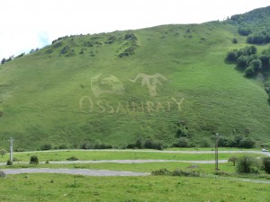 La fresque végétale géante AOP Ossau-Iraty à voir sur la Vuelta