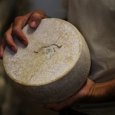 Ossau-Iraty : Un producteur de fromage fermier (basque) dans sa cave d'affinage