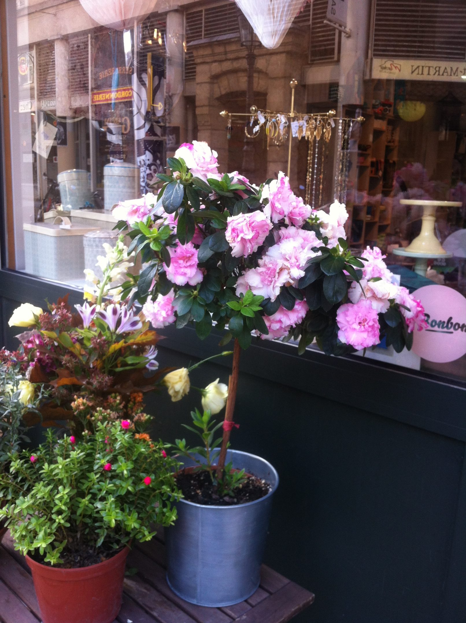 Les Saintes Chéries