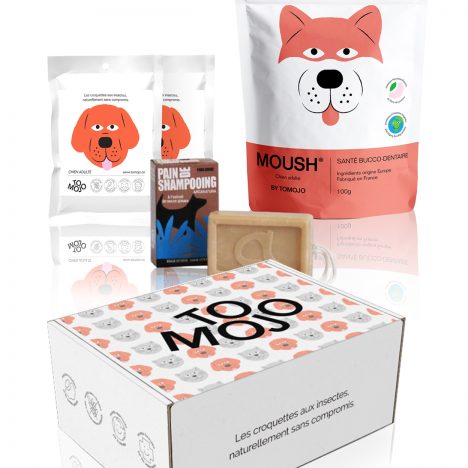 Le coffret découverte aux insectes Tomojo pour chien